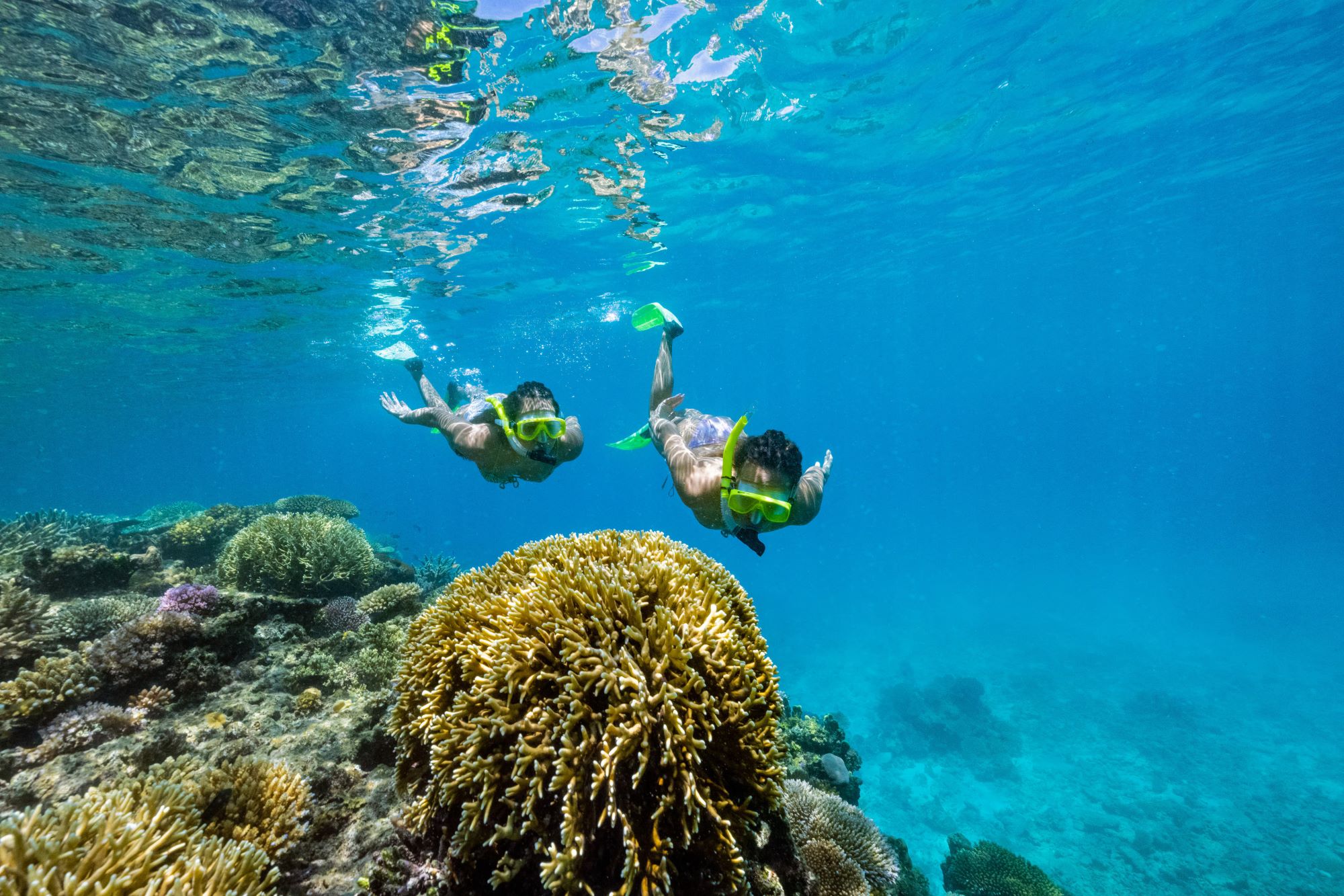Ujung Kulon Tour